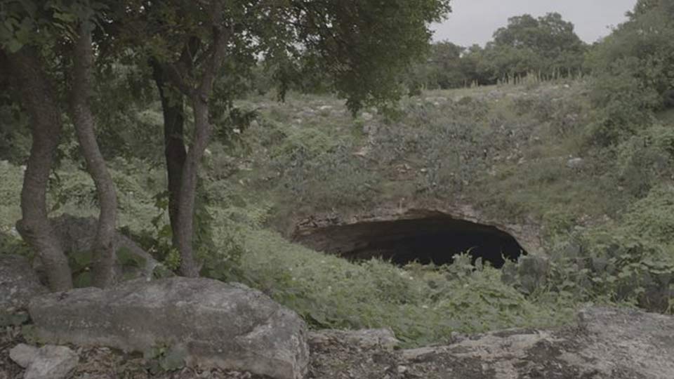 Curiosidades de la Tierra